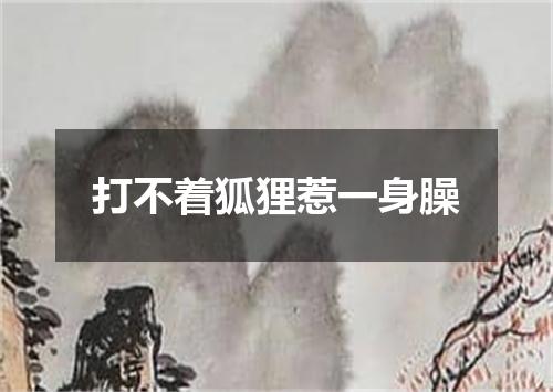 打不着狐狸惹一身臊
