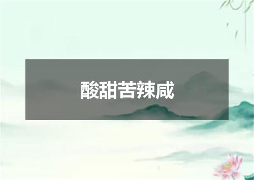 酸甜苦辣咸