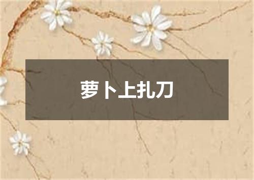 萝卜上扎刀