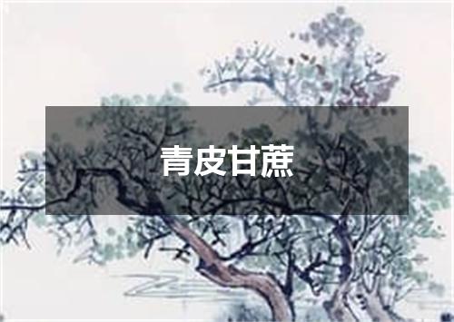 青皮甘蔗