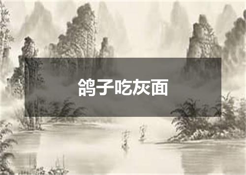 鸽子吃灰面