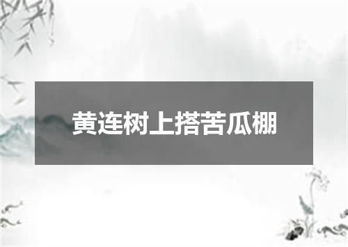 黄连树上搭苦瓜棚