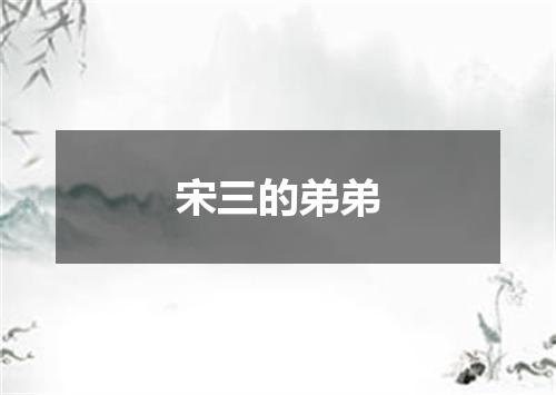 宋三的弟弟