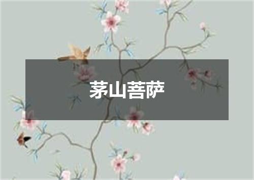 茅山菩萨