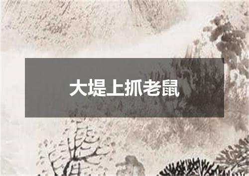 大堤上抓老鼠