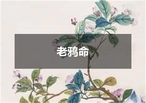 老鸦命