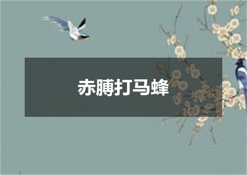赤膊打马蜂