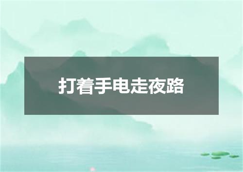 打着手电走夜路