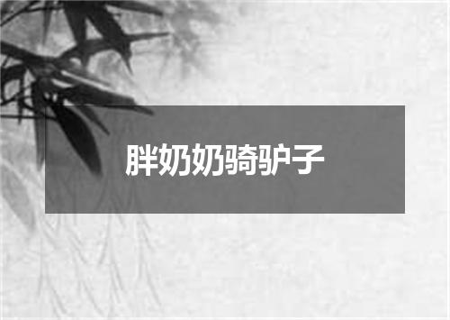 胖奶奶骑驴子