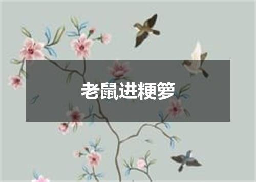 老鼠进粳箩