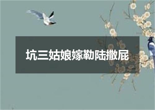 坑三姑娘嫁勒陆撒屁