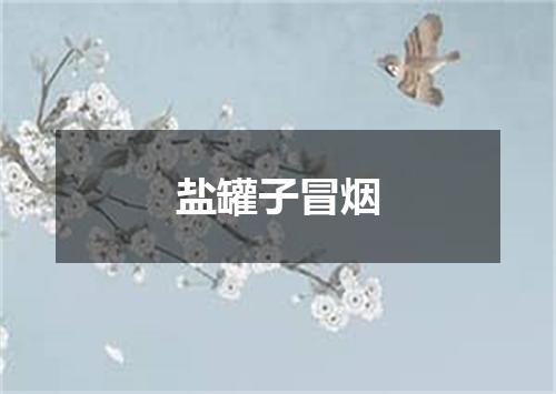 盐罐子冒烟