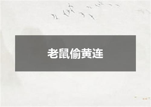 老鼠偷黄连