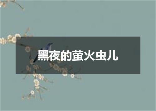 黑夜的萤火虫儿