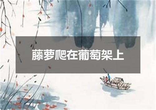 藤萝爬在葡萄架上