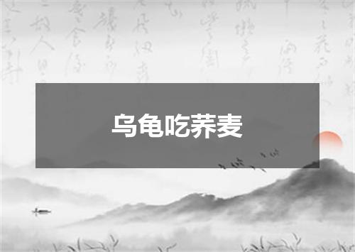 乌龟吃荞麦
