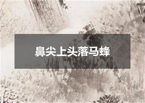 鼻尖上头落马蜂