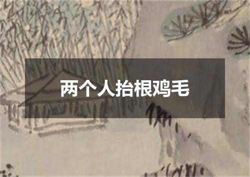 两个人抬根鸡毛