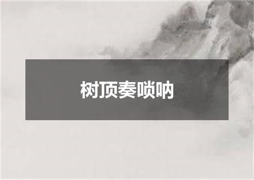 树顶奏唢呐