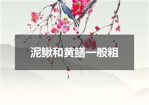 泥鳅和黄鳝一般粗
