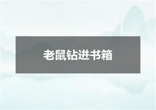 老鼠钻进书箱