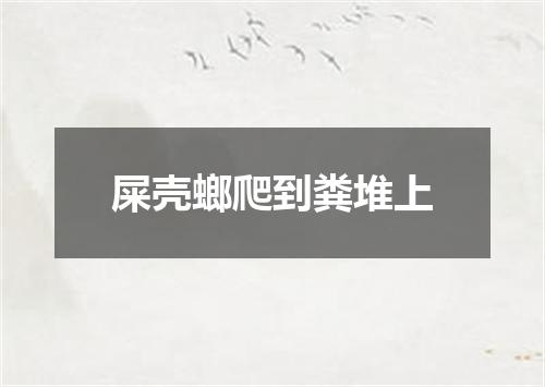 屎壳螂爬到粪堆上