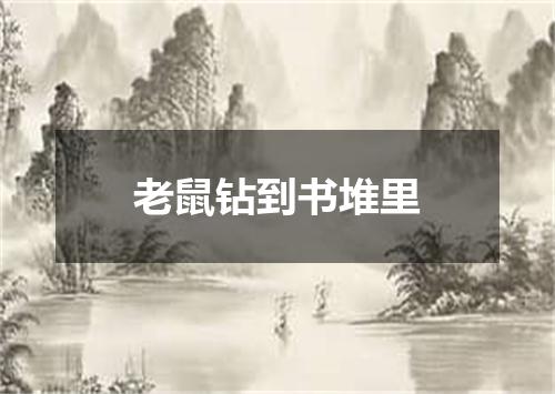 老鼠钻到书堆里
