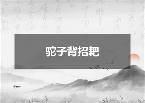 驼子背招耙