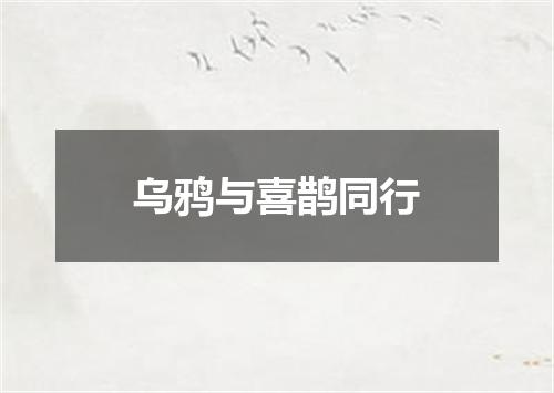 乌鸦与喜鹊同行