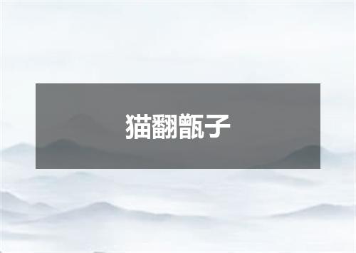 猫翻甑子