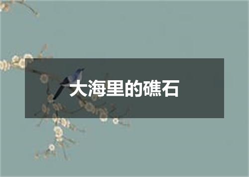 大海里的礁石