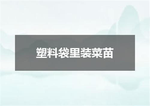 塑料袋里装菜苗