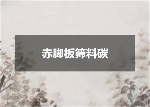 赤脚板筛料碳