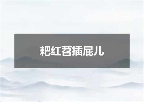 耙红苕插屁儿