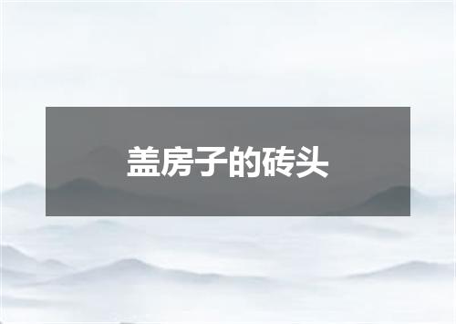 盖房子的砖头