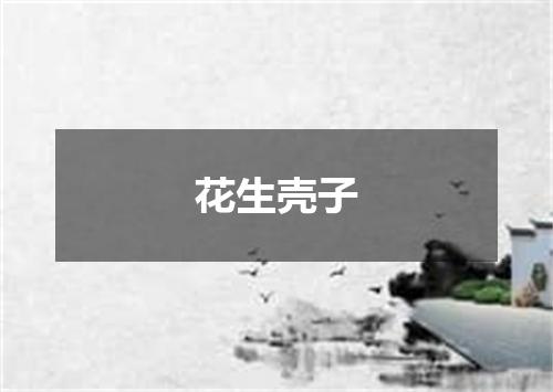 花生壳子