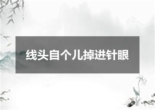 线头自个儿掉进针眼