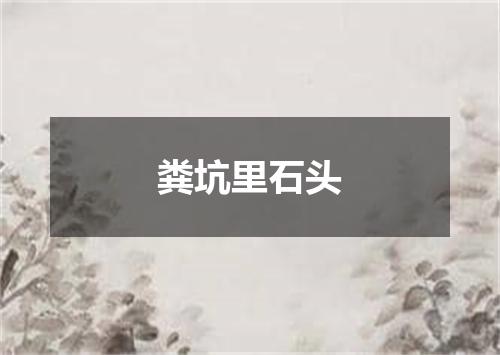 粪坑里石头