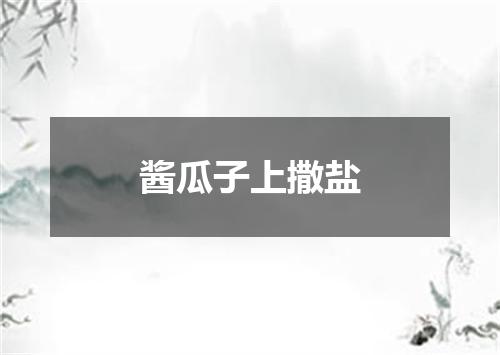 酱瓜子上撒盐