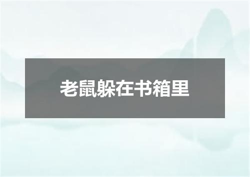 老鼠躲在书箱里