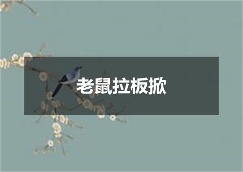 老鼠拉板掀