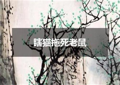 瞎猫拖死老鼠