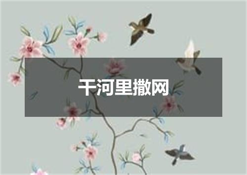 干河里撒网