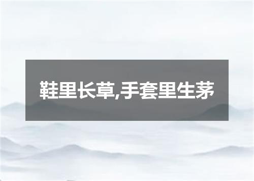 鞋里长草,手套里生茅