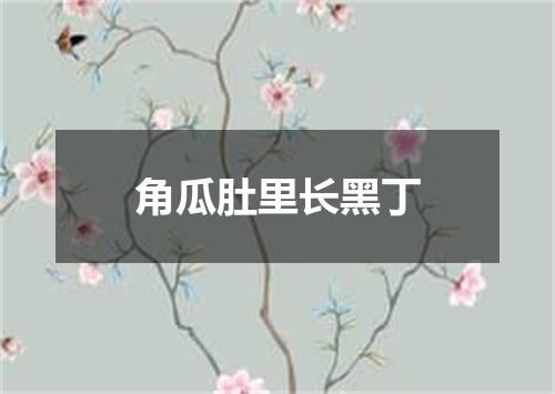 角瓜肚里长黑丁