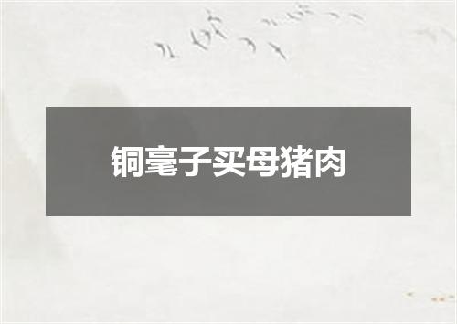 铜毫子买母猪肉
