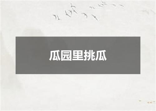 瓜园里挑瓜