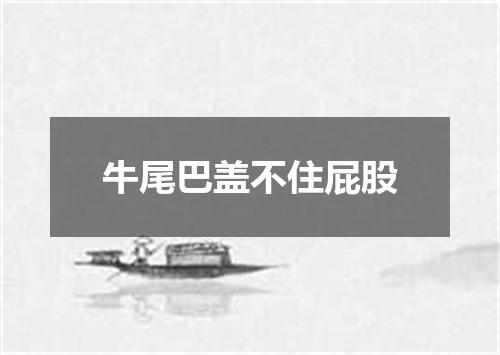 牛尾巴盖不住屁股