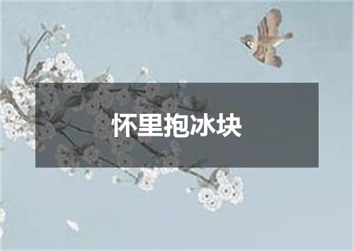 怀里抱冰块