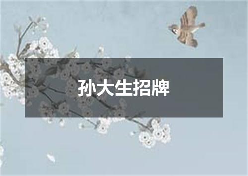 孙大生招牌